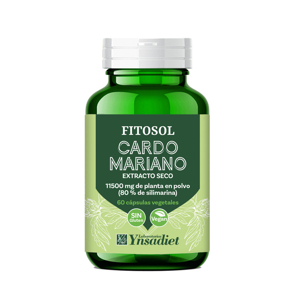 Cardo mariano