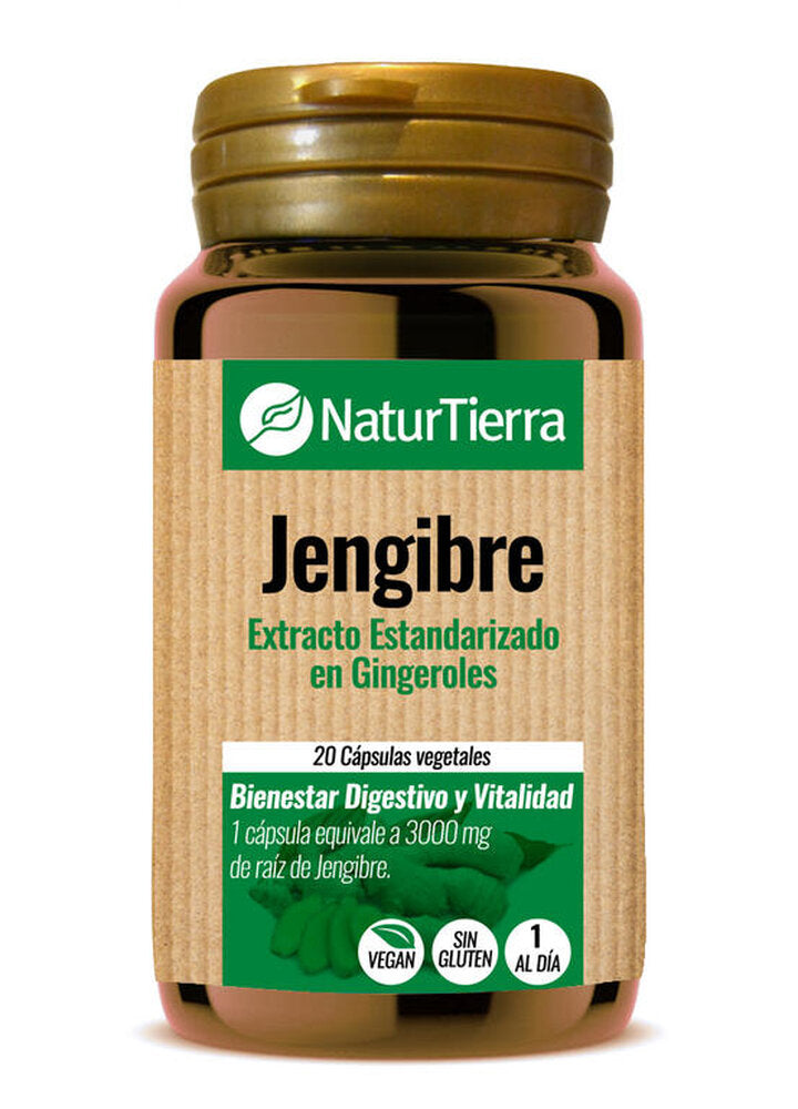 Jengibre