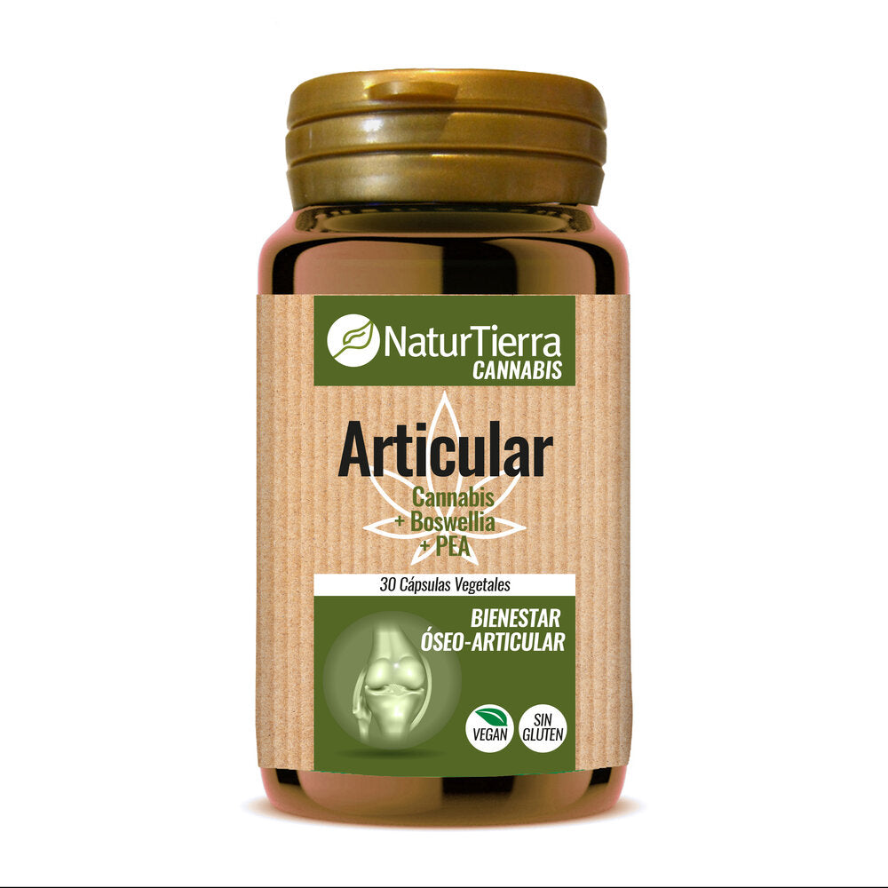 Articular