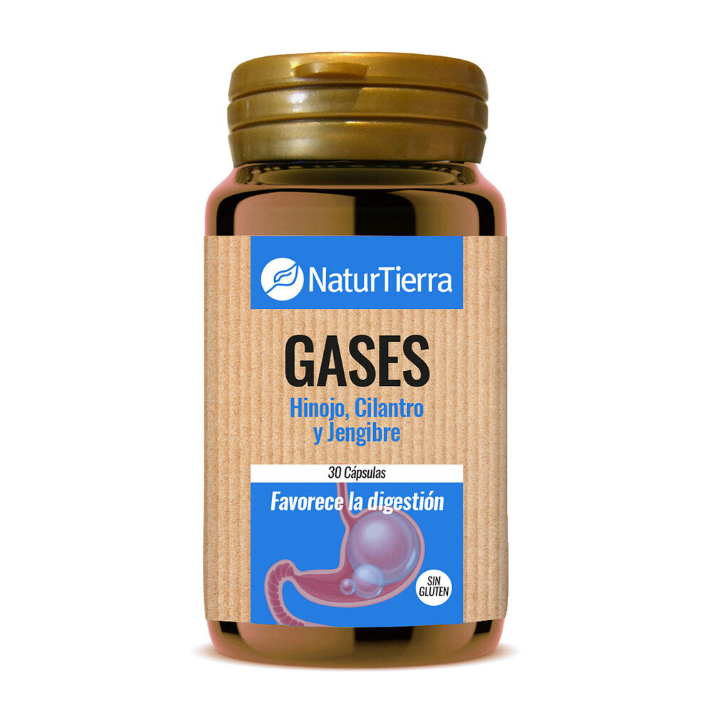 Gases