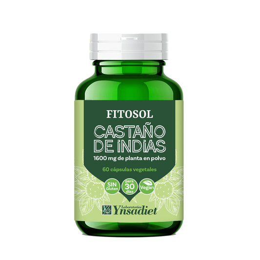 Castaño de indias