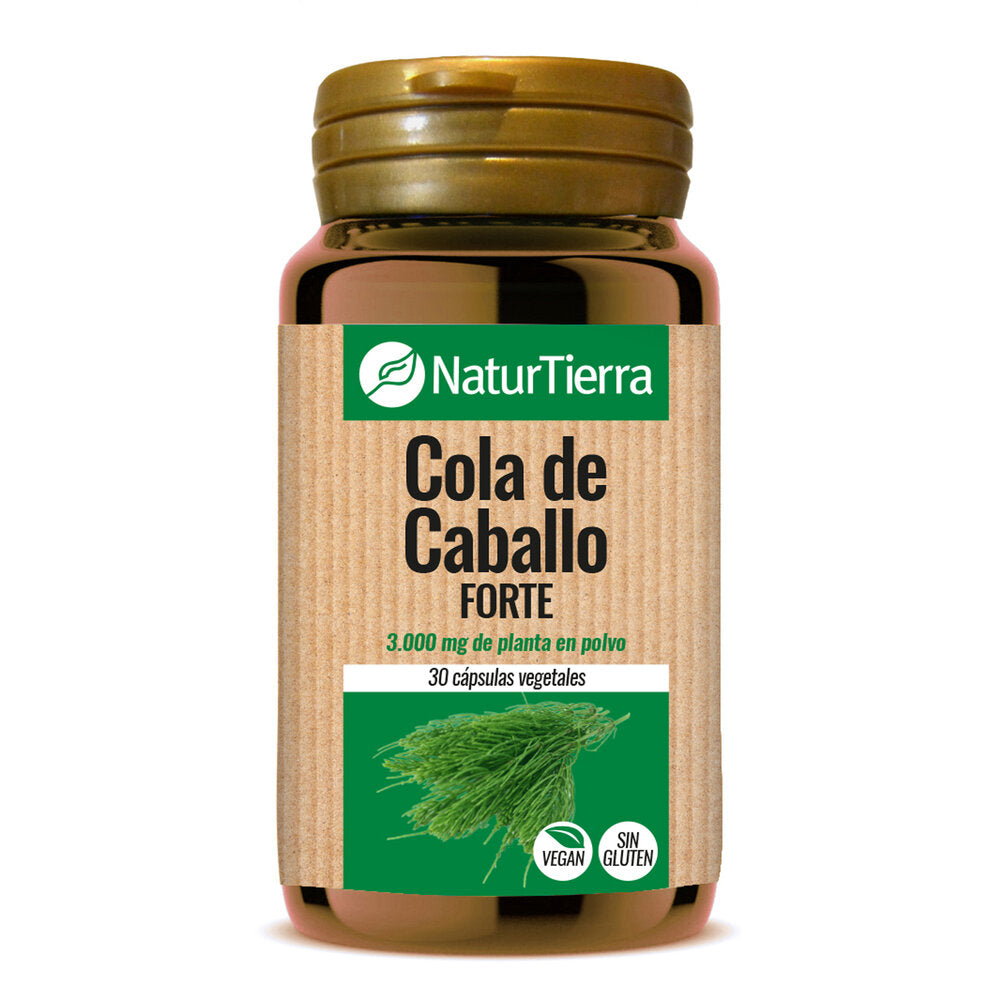 Cola de caballo