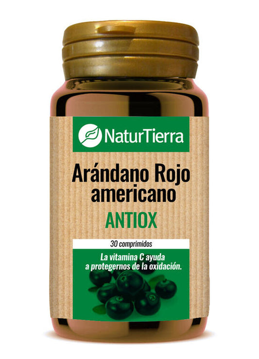 Arándano Rojo americano
